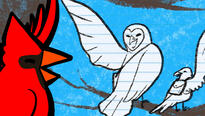 A drawing of a cardinal, crow, and owl. The cardinal is in color while the crow and owl aren't. The crow and owl are happily waving goodbye to the cardinal with bags strapped to their backs. The art is colored like a crayon drawing on a notebook page.