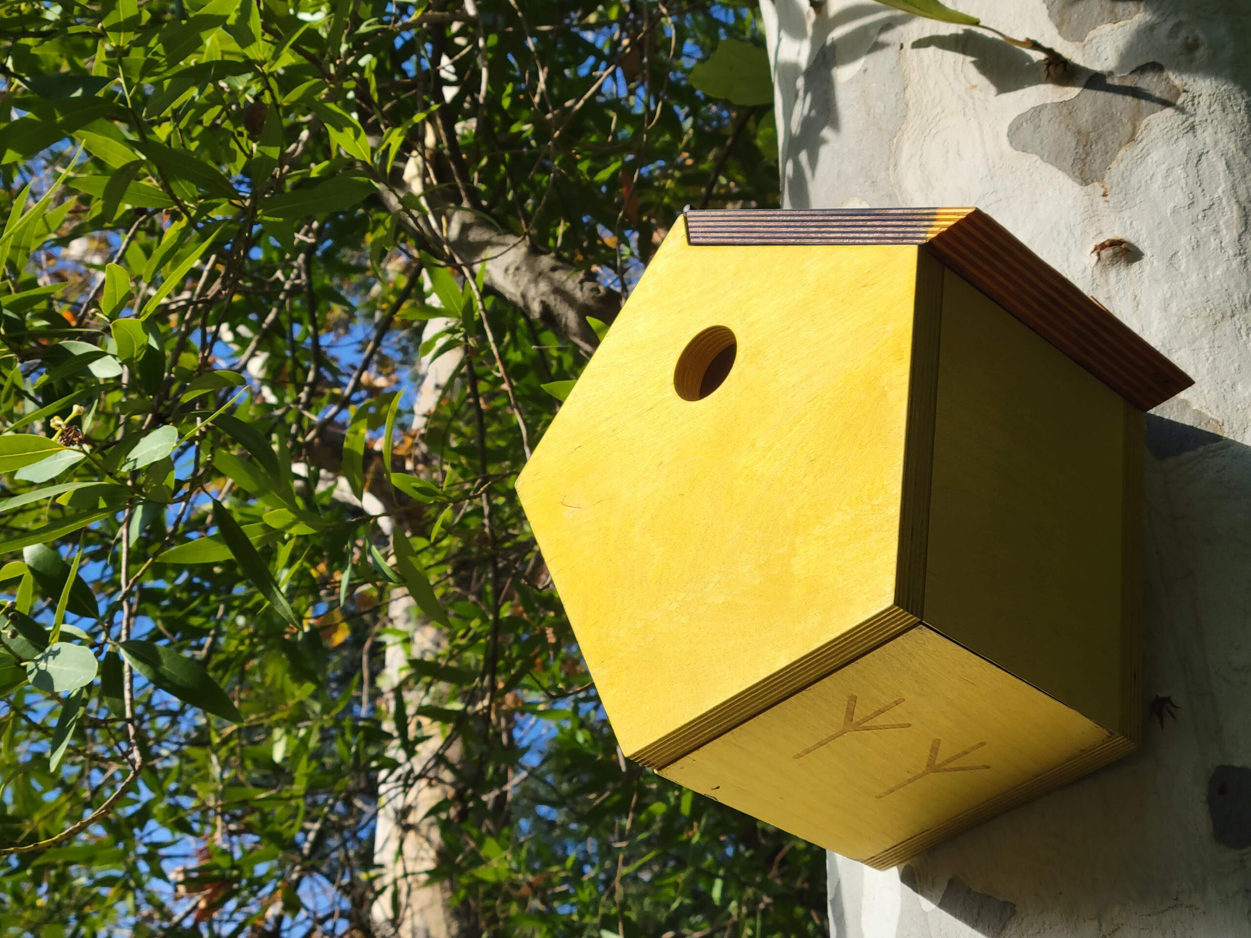 A birdhouse shot from a low angle. It is stained like an American goldfinch, and it has little feet at the bottom.