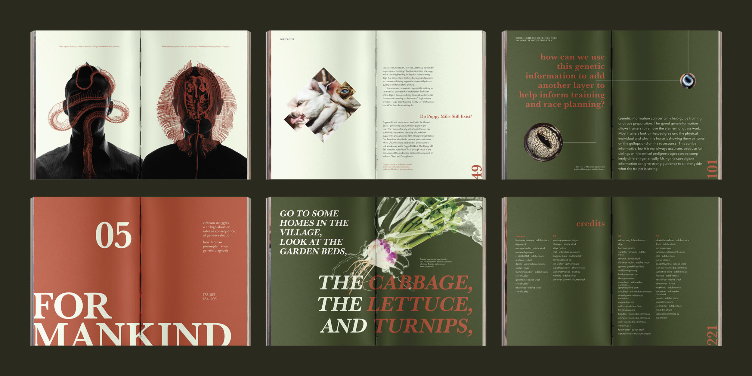 A photo of two books. The covers show men standing, with each of their faces obscured by a translucent images of green syringes.